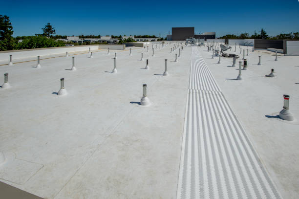 Best Roof Coating and Sealing  in Crowley Lake, CA
